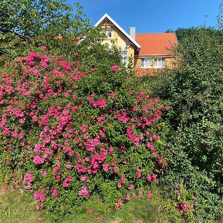 Neulandhof Spoering Apartamento Walsrode Exterior foto