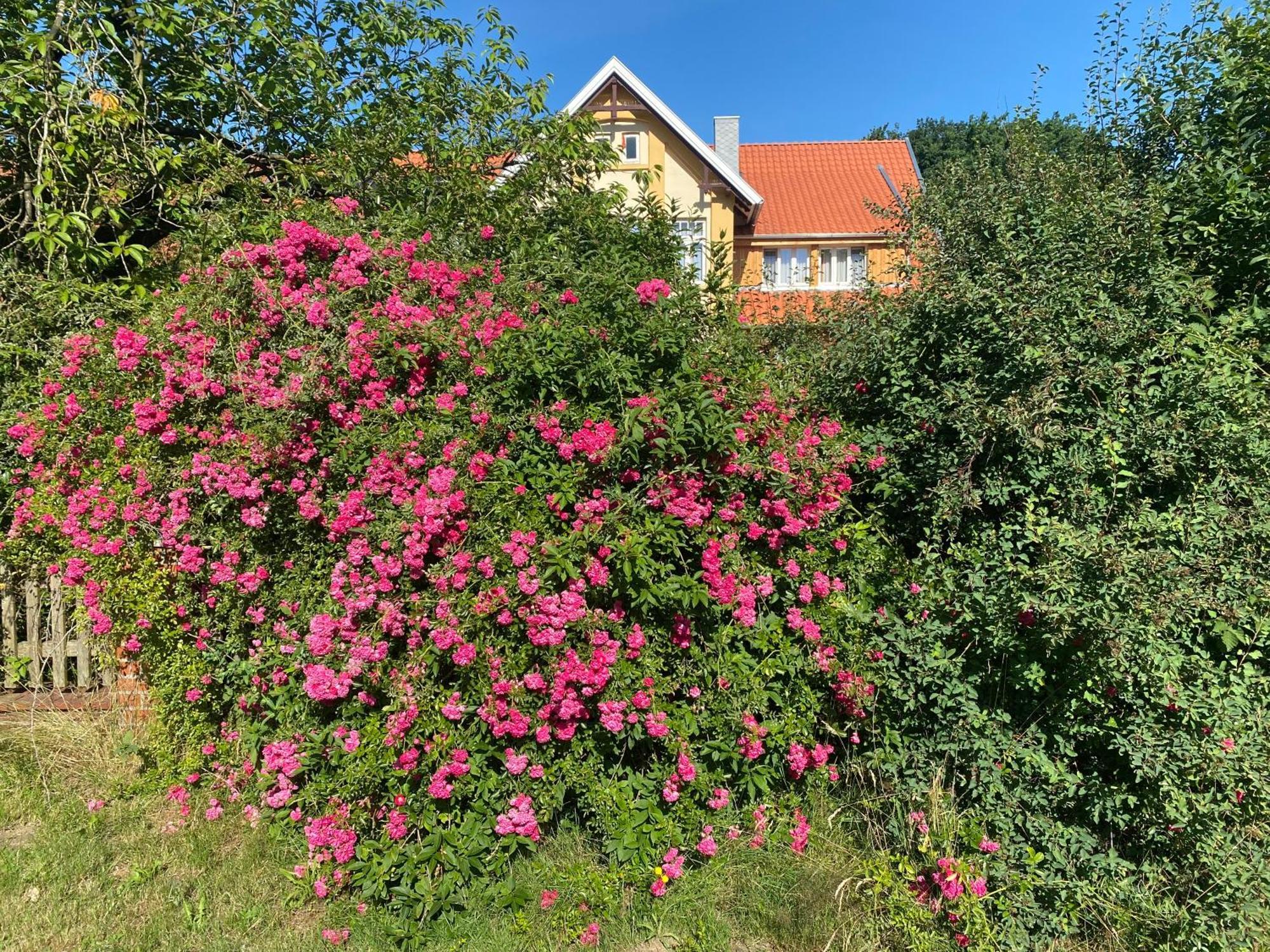 Neulandhof Spoering Apartamento Walsrode Exterior foto